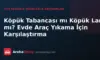Köpük Tabancası mı Köpük Lansı mı? Evde Araç Yıkama İçin Karşılaştırma