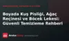 Boyada Kuş Pisliği, Ağaç Reçinesi ve Böcek Lekesi: Güvenli Temizleme Rehberi
