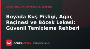 Boyada Kuş Pisliği, Ağaç Reçinesi ve Böcek Lekesi: Güvenli Temizleme Rehberi