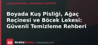 Boyada Kuş Pisliği, Ağaç Reçinesi ve Böcek Lekesi: Güvenli Temizleme Rehberi