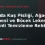 Boyada Kuş Pisliği, Ağaç Reçinesi ve Böcek Lekesi: Güvenli Temizleme Rehberi