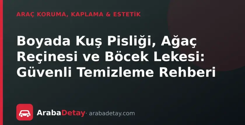 Boyada Kuş Pisliği, Ağaç Reçinesi ve Böcek Lekesi: Güvenli Temizleme Rehberi